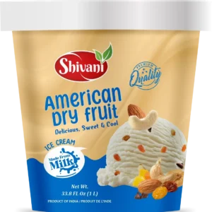 American Dry fruit Ice cream