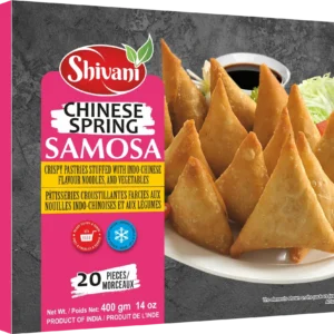 Chinese Spring Samosa